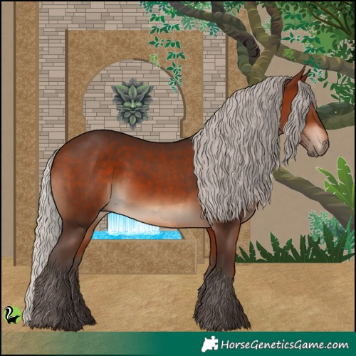 Horse Color:Silver Brown 
