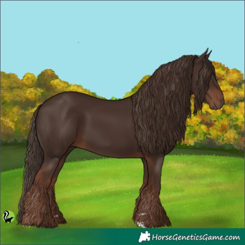 Horse Color:Liver Chestnut 