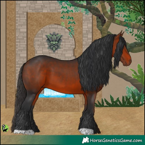 Horse Color:Brown 