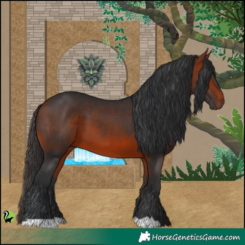 Horse Color:Brown 