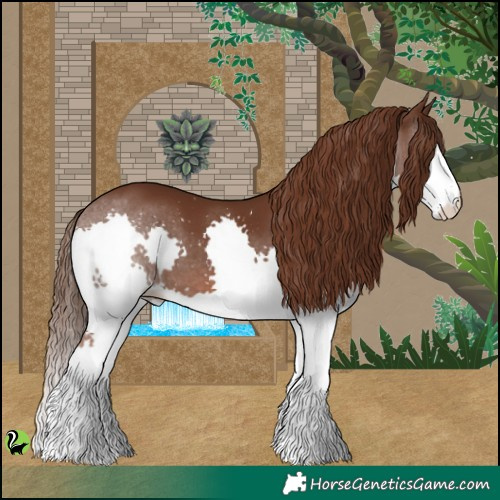 Horse Color:Liver Chestnut Splash 