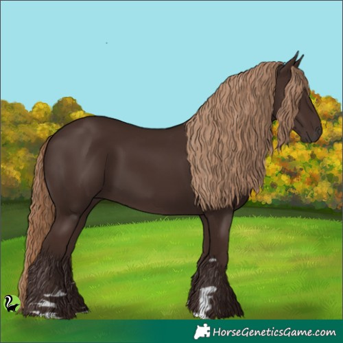 Horse Color:Liver Chestnut 