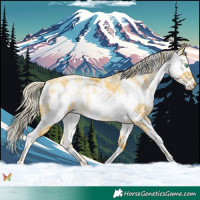Horse Color:Palomino Pearl Sabino Splash