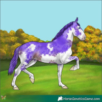 Horse Color:Watercolor Black Splash 