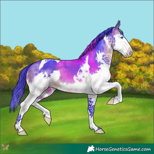 Horse Color:Watercolor Brown Splash Tobiano 