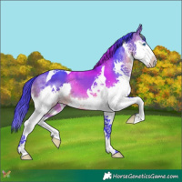 Horse Color:Watercolor Brown Splash Tobiano 