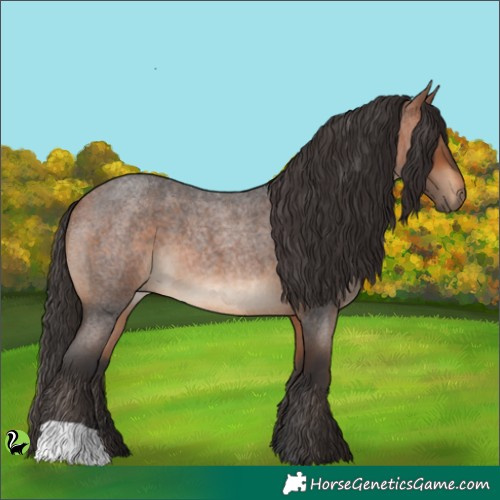 Horse Color:Bay Roan 