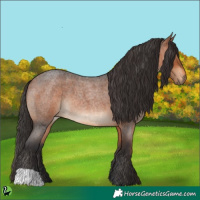 Horse Color:Bay Roan 