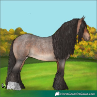 Horse Color:Bay Roan 