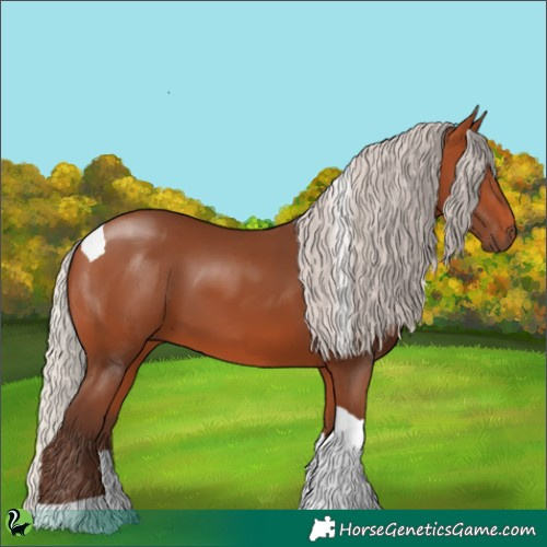 Horse Color:Silver Bay Tobiano
