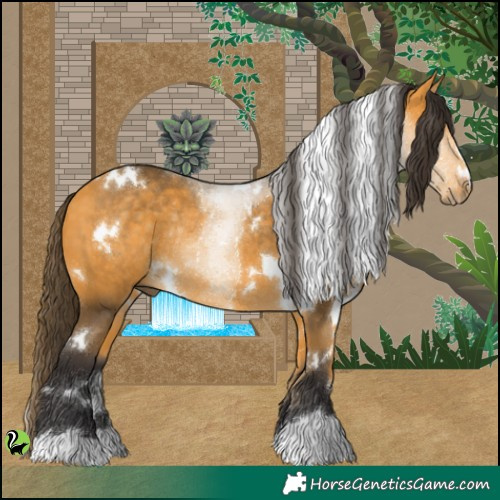 Horse Color:White Spotted Buckskin Rabicano 