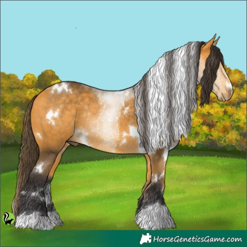 Horse Color:White Spotted Buckskin Rabicano 