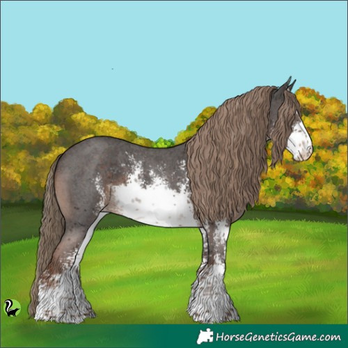 Horse Color:White Spotted Liver Chestnut Sabino 