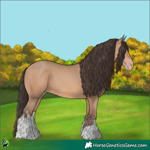 Horse Color:White Spotted Amber Champagne 