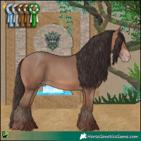 Horse Color:Sable Champagne 