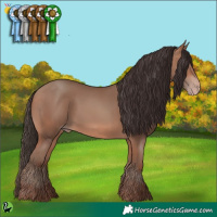 Horse Color:Sable Champagne 
