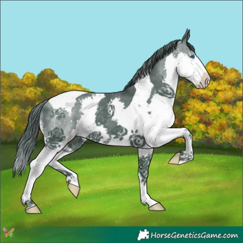 Horse Color:Watercolor Smoky Black Splash Tobiano 