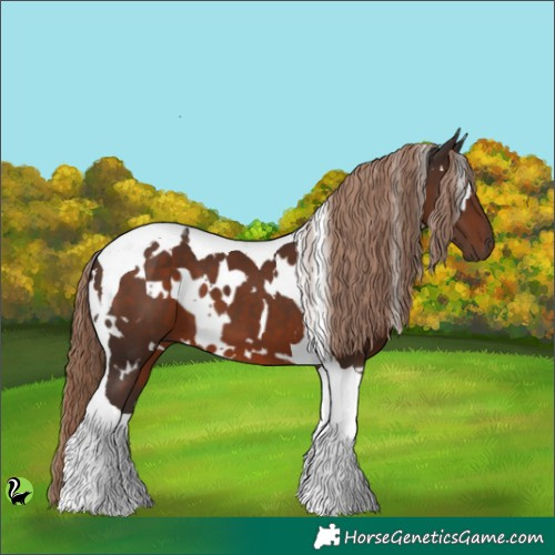 Horse Color:White Spotted Liver Chestnut Tobiano 