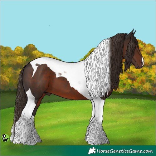 Horse Color:Liver Chestnut Tobiano 