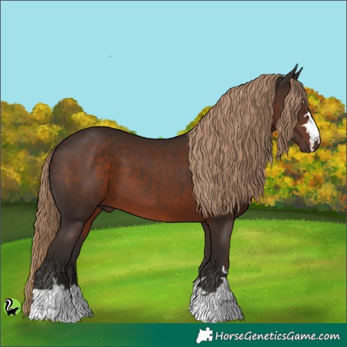 Horse Color:Liver Chestnut 