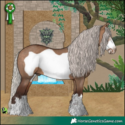Horse Color:Silver Bay Dun Frame 