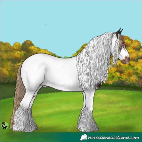 Horse Color:White Spotted Liver Chestnut Tobiano Frame 