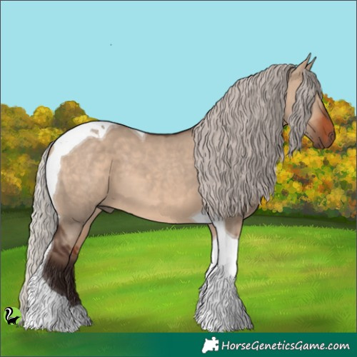 Horse Color:Silver Brown Dun Tobiano 