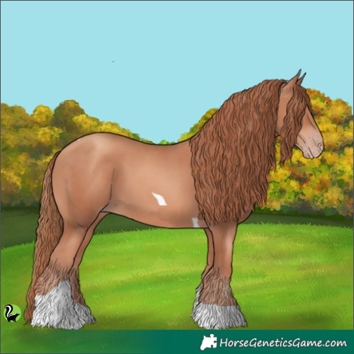 Horse Color:Gold Champagne Tobiano 