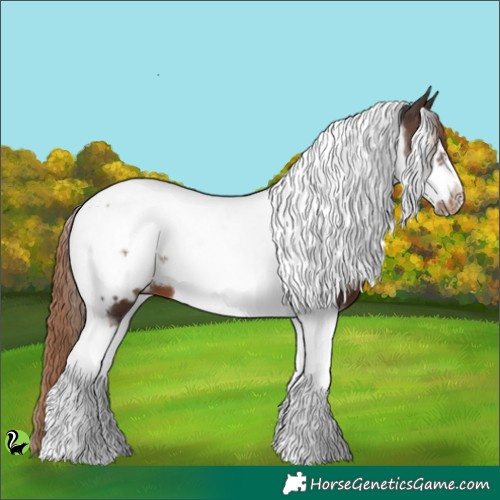 Horse Color:Liver Chestnut Tobiano Frame Appaloosa 