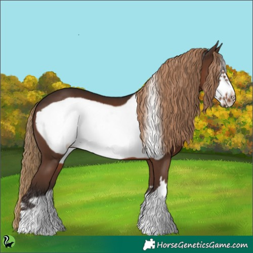 Horse Color:Liver Chestnut Frame 