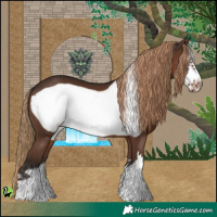 Horse Color:Liver Chestnut Frame 