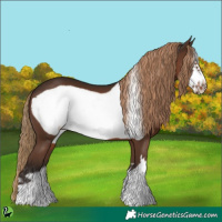 Horse Color:Liver Chestnut Frame 