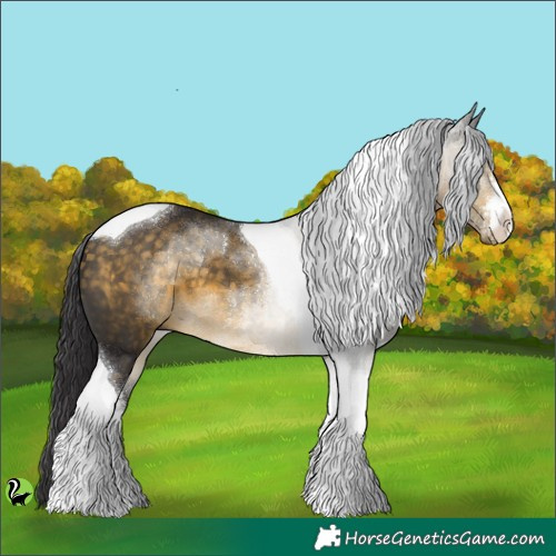 Horse Color:White Spotted Buckskin Tobiano 