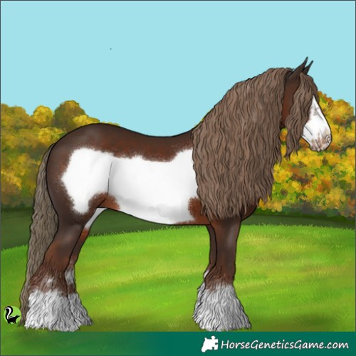 Horse Color:Liver Chestnut Frame 