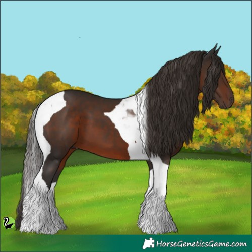 Horse Color:Liver Chestnut Tobiano 