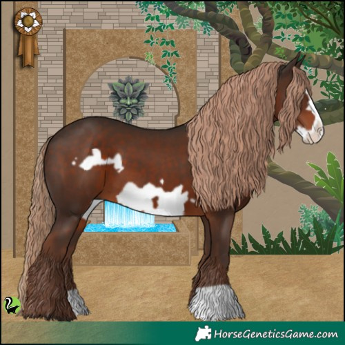 Horse Color:Liver Chestnut Frame 