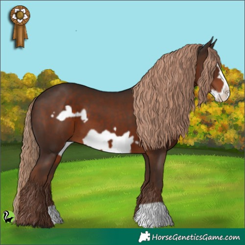 Horse Color:Liver Chestnut Frame 