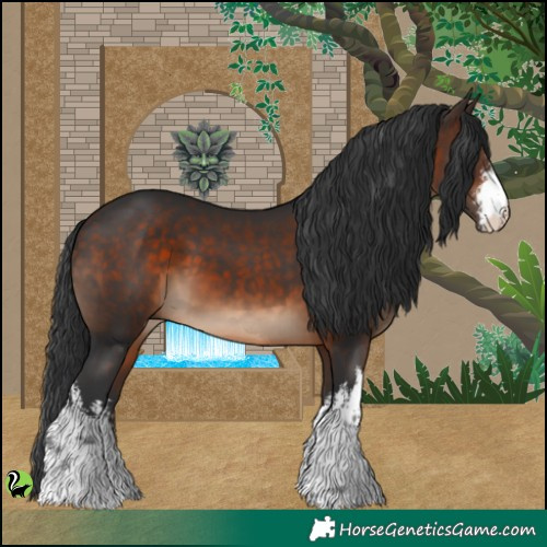 Horse Color:White Spotted Brown 
