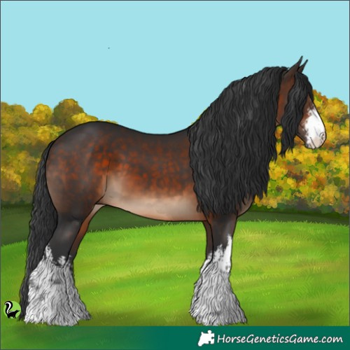 Horse Color:White Spotted Brown 