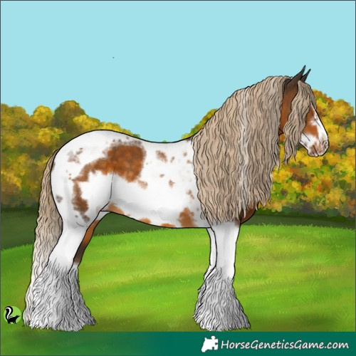 Horse Color:Chocolate Palomino Tobiano Frame 