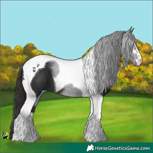 Horse Color:Liver Chestnut Tobiano 