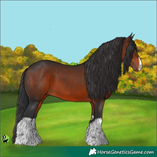 Horse Color:White Spotted Brown 