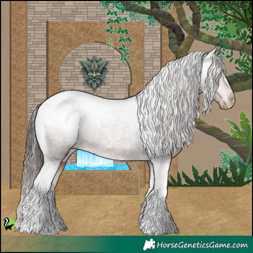 Horse Color:Liver Chestnut Tobiano Appaloosa 