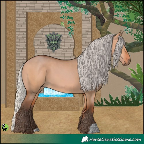 Horse Color:Silver Bay Dun 