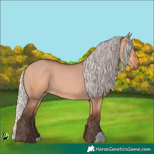 Horse Color:Silver Bay Dun 