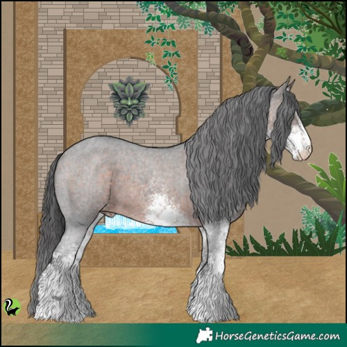 Horse Color:White Spotted Brown Appaloosa 