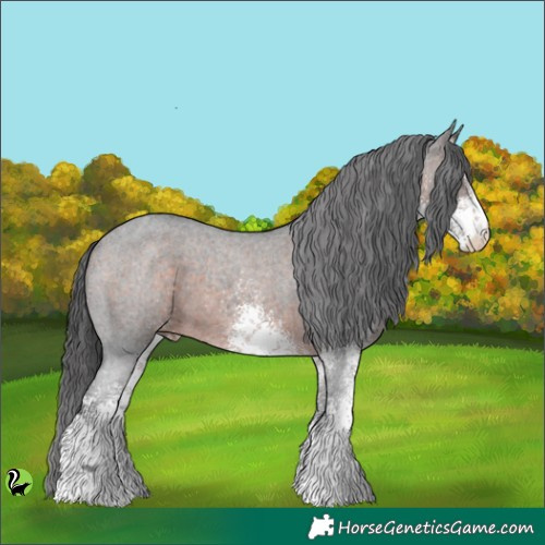 Horse Color:White Spotted Brown Appaloosa 