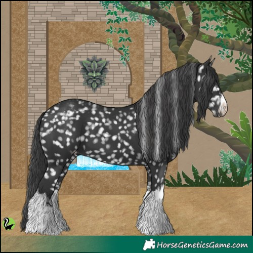 Horse Color:White Spotted Black Snowflake Varnish 