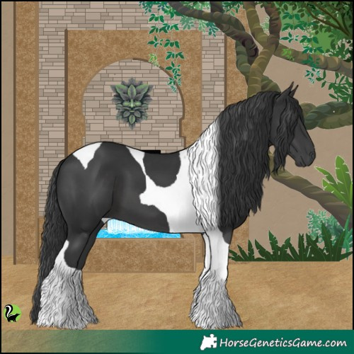 Horse Color:Black Tobiano 