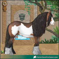 Horse Color:Bay Frame 